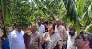 आंधी-तूफान से प्रभावित किसानों के बीच पहुंचीं अर्चना चिटनिस, नुकसान का किया विस्तृत निरीक्षण, राहत दिलाने के लिए प्रशासन को दिए निर्देश