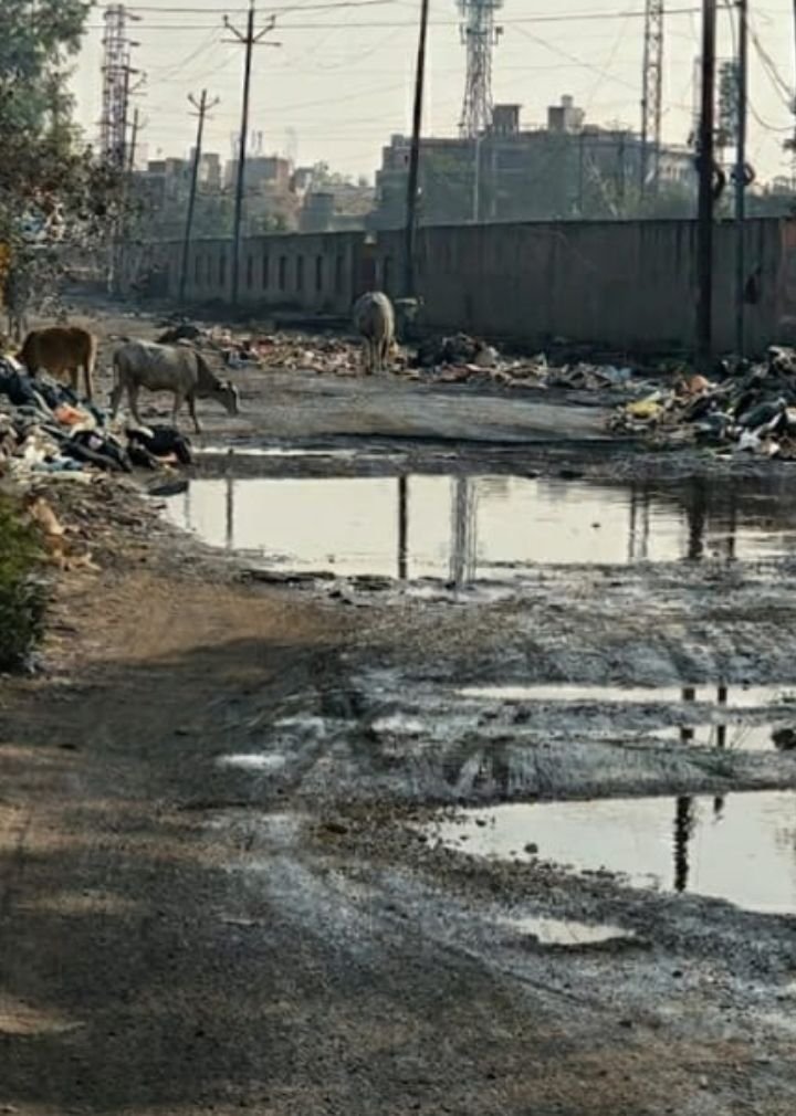 मथुरा के ट्रांसपोर्ट नगर में गंदगी का अंबार, नगर आयुक्त से सख्त कार्रवाई की मांग, स्वच्छ भारत अभियान के दावों पर उठे सवाल, शिकायत के बाद भी नहीं हो रही प्रभावी सफाई | New India Times