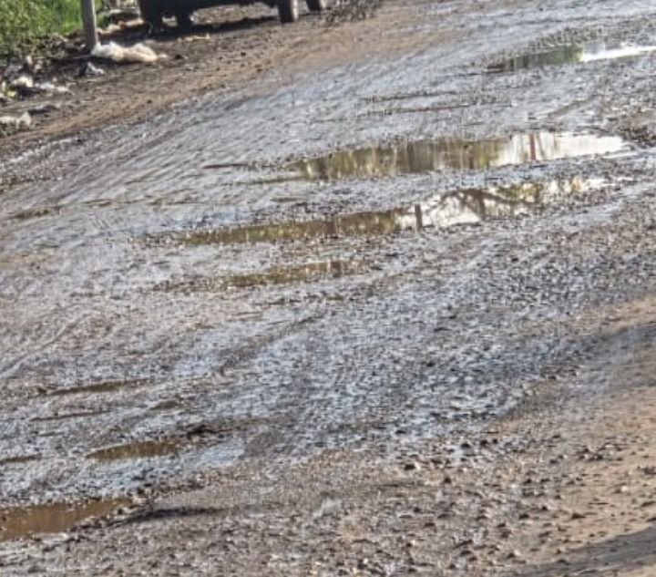 मथुरा के ट्रांसपोर्ट नगर में गंदगी का अंबार, नगर आयुक्त से सख्त कार्रवाई की मांग, स्वच्छ भारत अभियान के दावों पर उठे सवाल, शिकायत के बाद भी नहीं हो रही प्रभावी सफाई | New India Times