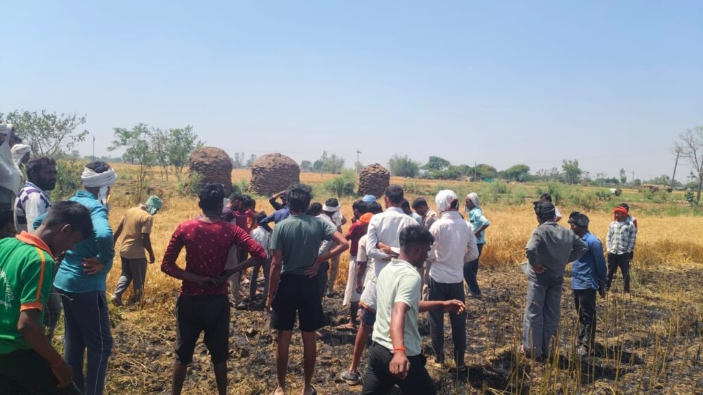 लापरवाही या हादसा? बिजली विभाग की उदासीनता से जलकर खाक हुई 10-12 बीघा गेहूं की फसल | New India Times
