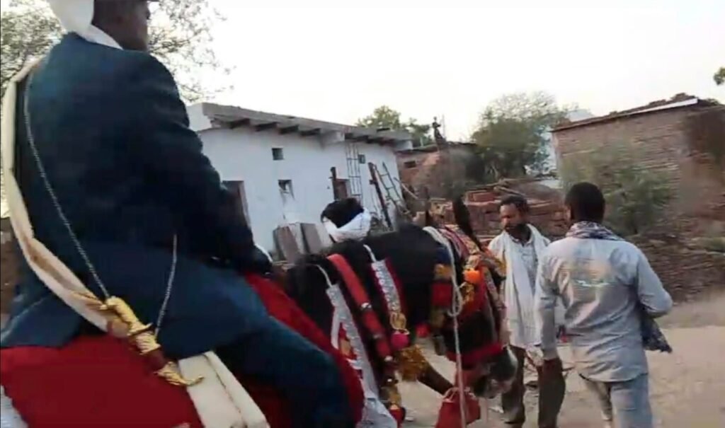 बुंदेलखंड में फिर दिखी सामंती सोच: दमोह में दलित दूल्हे को घोड़ी से उतारकर मारपीट, महिलाओं तक को नहीं बख्शा | New India Times