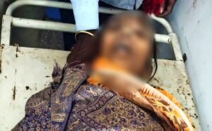 जहरीले सांप के काटने से बुजुर्ग महिला की मौत