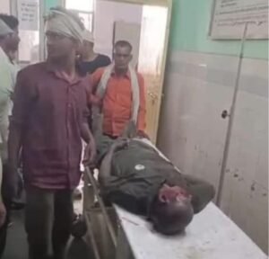 दुधवा टाइगर रिजर्व में दर्दनाक हादसा: पालतू हाथी ने महावत को कुचलकर मार डाला