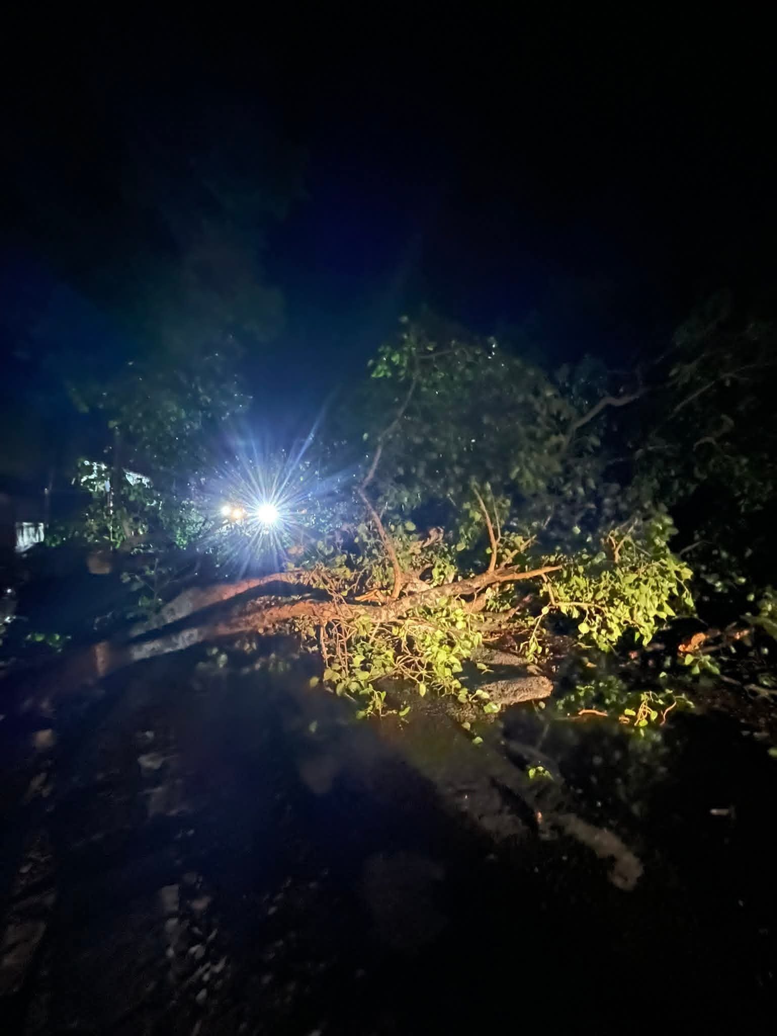 आंधी का कहर: चुनार के रामघाट मंदिर के पास गिरा विशाल पेड़, रास्ता पूरी तरह बाधित 1 आंधी का कहर: चुनार के रामघाट मंदिर के पास गिरा विशाल पेड़, रास्ता पूरी तरह बाधित | New India Times