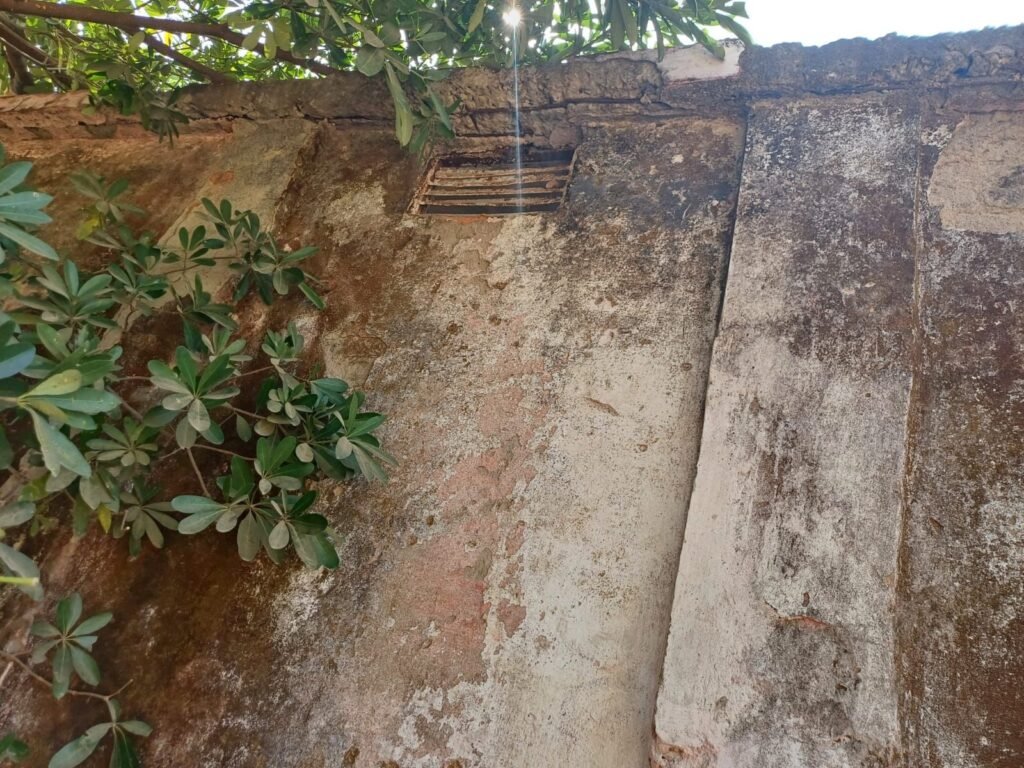 जर्जर स्कूल का हुआ कायाकल्प, नई सूरत देखकर शिक्षक-विद्यार्थी गदगद | New India Times