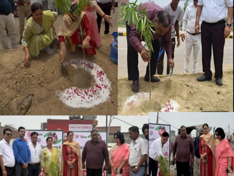 विश्व पर्यावरण दिवस पर नगर निगम का विशेष वृक्षारोपण अभियान, ‘एक पेड़ मां के नाम’ से दिया पर्यावरण संरक्षण का संदेश
