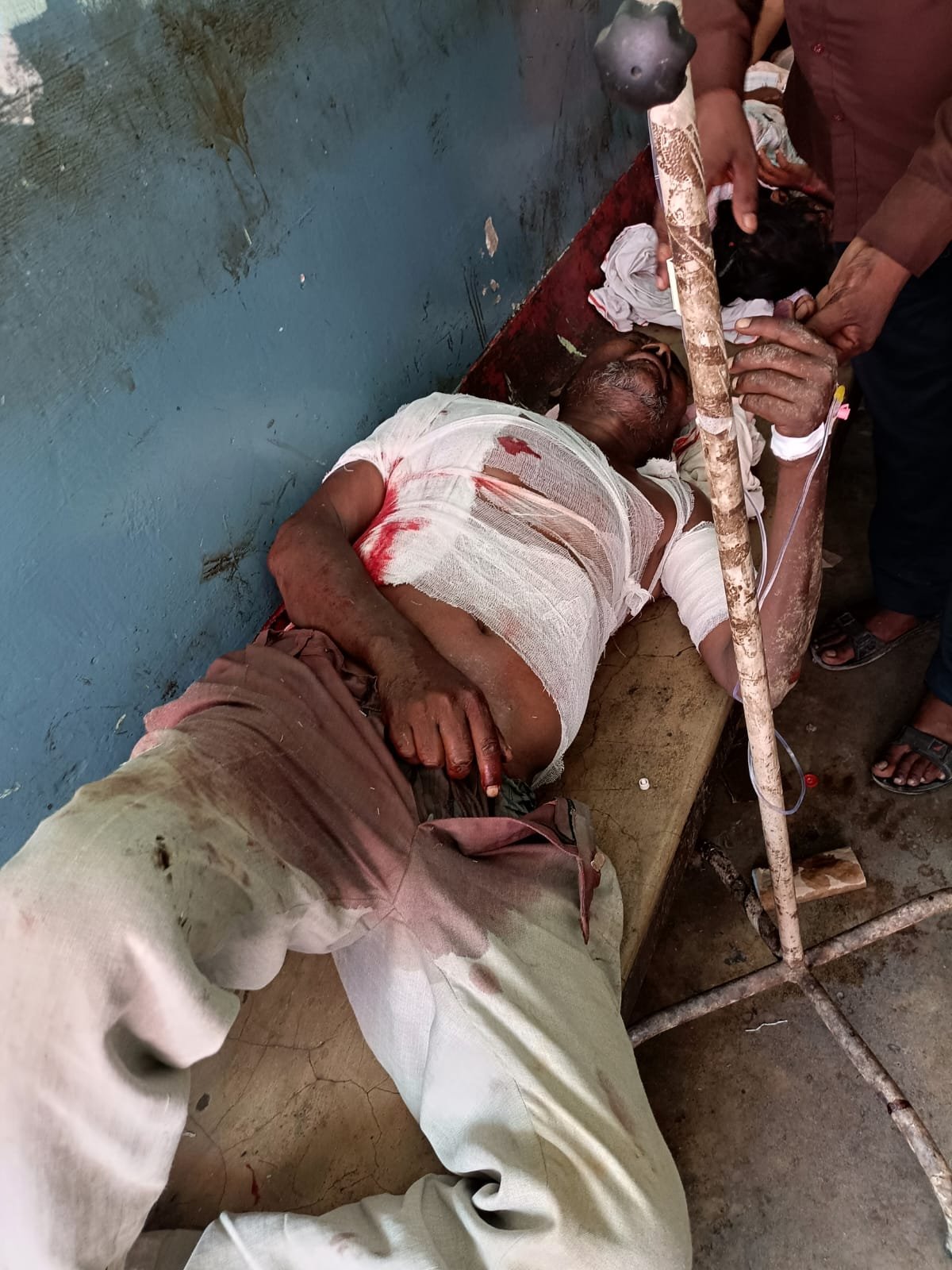 आए दिन बाघ के हमले से सहमे ग्रामीण,भैंस चरा रहे किसान को किया गंभीर रूप से घायल | New India Times