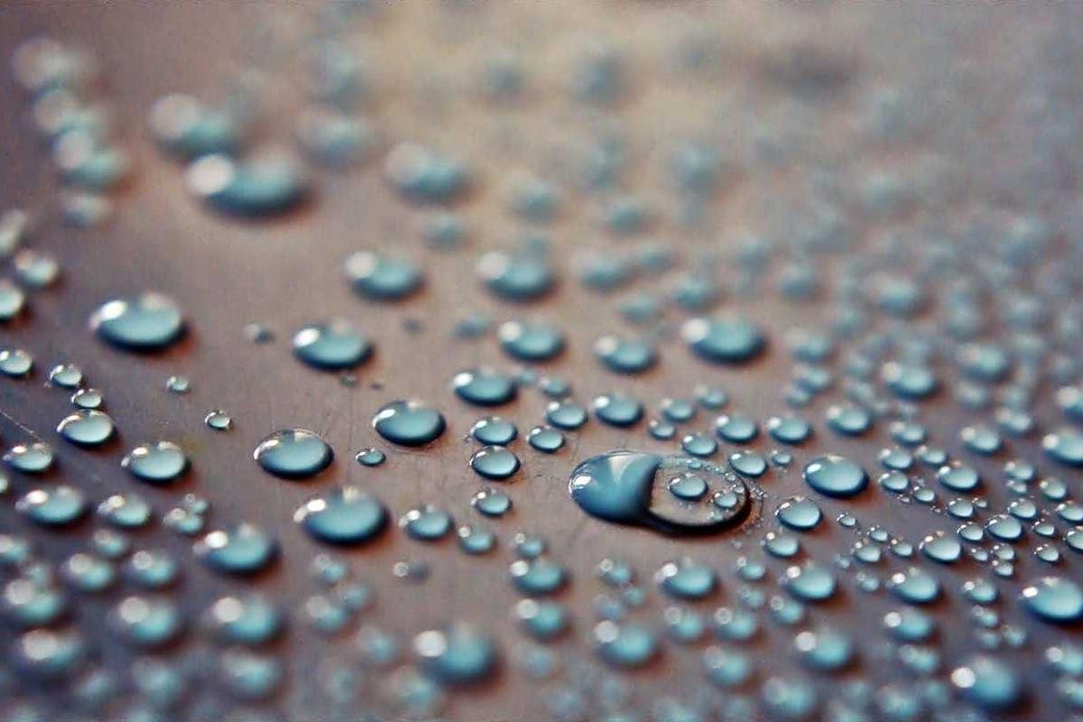 Quaerat ipsa aliqua duis quo porro velit aute adipisci voluptas eiusmod consequat | New India Times