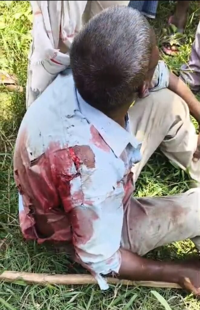 आए दिन बाघ के हमले से सहमे ग्रामीण,भैंस चरा रहे किसान को किया गंभीर रूप से घायल | New India Times