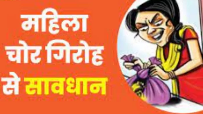 कंटेनर से 1.12 लाख का कॉपर वायर चोरी, तीन महिलाएं गिरफ्तार 1 कंटेनर से 1.12 लाख का कॉपर वायर चोरी, तीन महिलाएं गिरफ्तार | New India Times