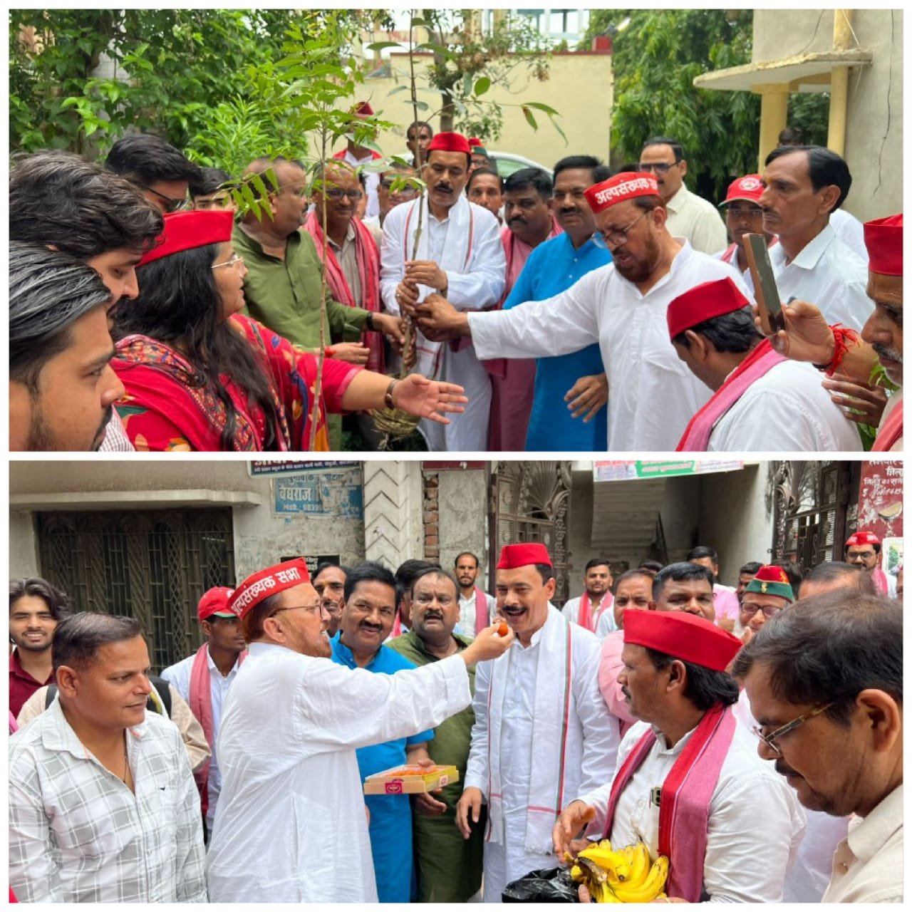 अखिलेश यादव के 53वें जन्मदिन पर सपा का सेवा अभियान, मिठाई-फल वितरण के साथ किया वृक्षारोपण | New India Times
