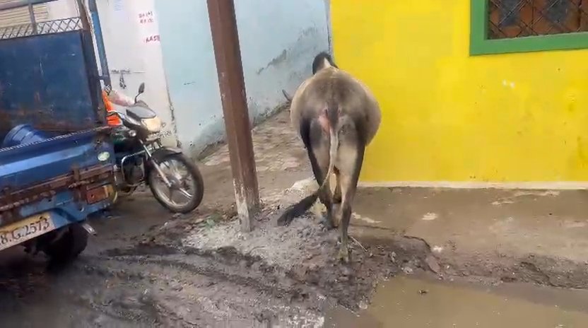 सड़क किनारे लगाया जा रहा बिजली का पोल बना हादसों की आशंका, कांग्रेस नेता का हस्तक्षेप 2 सड़क किनारे लगाया जा रहा बिजली का पोल बना हादसों की आशंका, कांग्रेस नेता का हस्तक्षेप | New India Times
