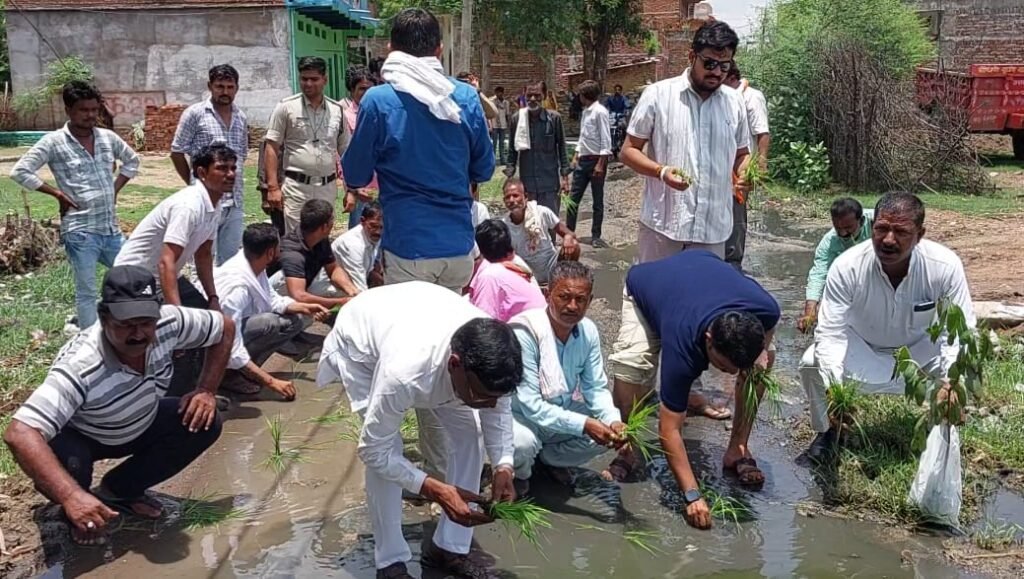 अमानगंज में कांग्रेस का अनूठा विरोध: जर्जर सड़क पर की धान की रोपाई, गड्ढे का मनाया तीसरा 'जन्मदिन' 3 अमानगंज में कांग्रेस का अनूठा विरोध: जर्जर सड़क पर की धान की रोपाई, गड्ढे का मनाया तीसरा 'जन्मदिन' | New India Times