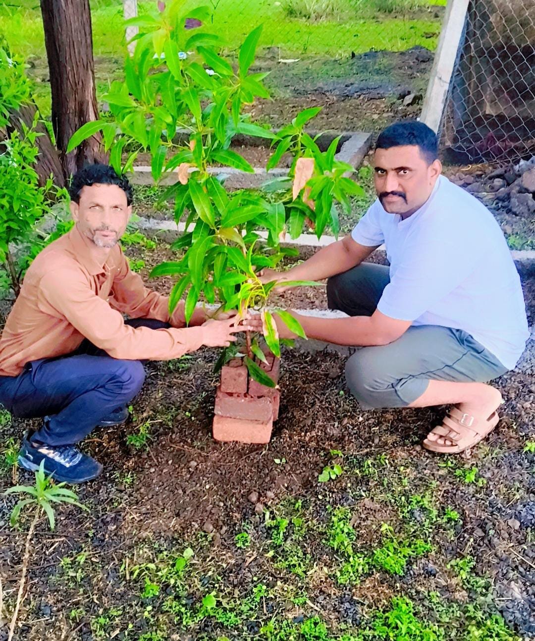 पर्यावरण संरक्षण का संदेश: पत्रकार इमरान खान ने लगाए 10 फलदार आम के पौधे | New India Times