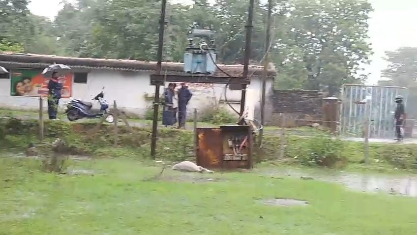 बिजली विभाग की लापरवाही के चलते गाय के बच्चे को लगा करंट 2 बिजली विभाग की लापरवाही के चलते गाय के बच्चे को लगा करंट | New India Times