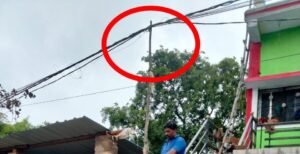 खबर प्रकाशित होते ही हरकत में आया बिजली विभाग, दातलावादी में एलटी लाइन केबल का कराया सुधार