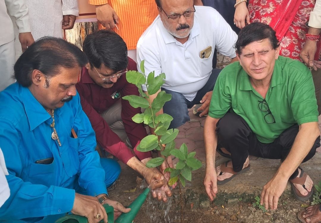 बीएसए महाविद्यालय में 251 पौधों का महावृक्षारोपण, 1000 पौधे लगाने का संकल्प | New India Times