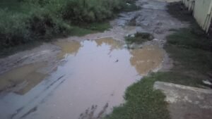 फत्तेपुर सैधरी के प्रकाश नगर में जलभराव और कीचड़ से बदहाल हालात, ग्रामीणों ने सड़क निर्माण की उठाई मांग