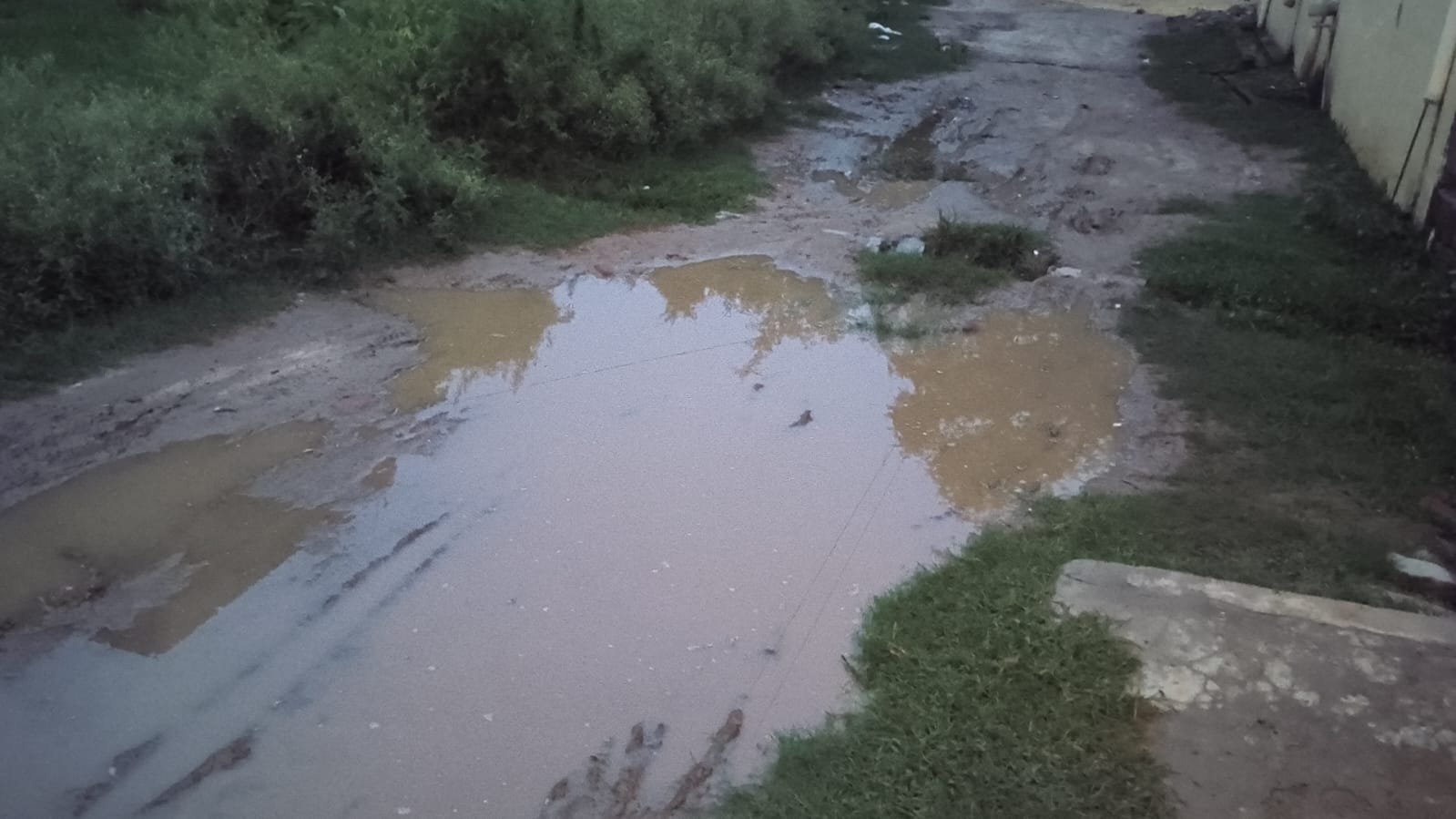 फत्तेपुर सैधरी के प्रकाश नगर में जलभराव और कीचड़ से बदहाल हालात, ग्रामीणों ने सड़क निर्माण की उठाई मांग | New India Times