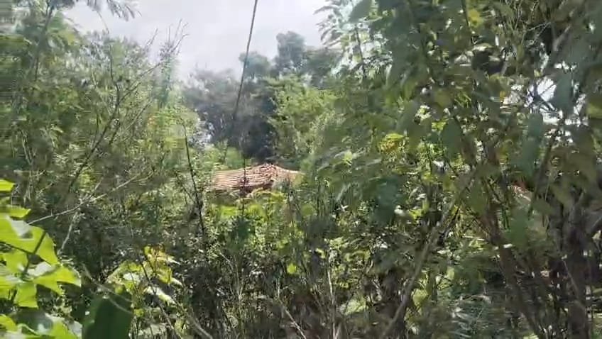 नजरपुर में लटकते बिजली के तार बने हादसे का कारण, ग्रामीणों ने की तत्काल मरम्मत की मांग | New India Times