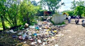 पनारा में कूड़ेदान बना मुसीबत: सड़क पर फैली गंदगी और बदबू से ग्रामीण परेशान, बीमारी फैलने का खतरा