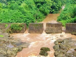तेज झमाझम बारिश से सूखी नदी हुई लबालब, किसानों के चेहरों पर लौटी मुस्कान