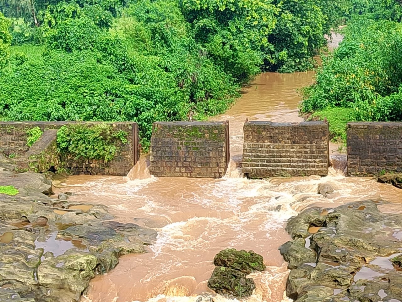 तेज झमाझम बारिश से सूखी नदी हुई लबालब, किसानों के चेहरों पर लौटी मुस्कान | New India Times