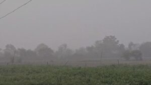 झमाझम बारिश से किसानों को मिली राहत, लेकिन उमस ने बढ़ाई परेशानी
