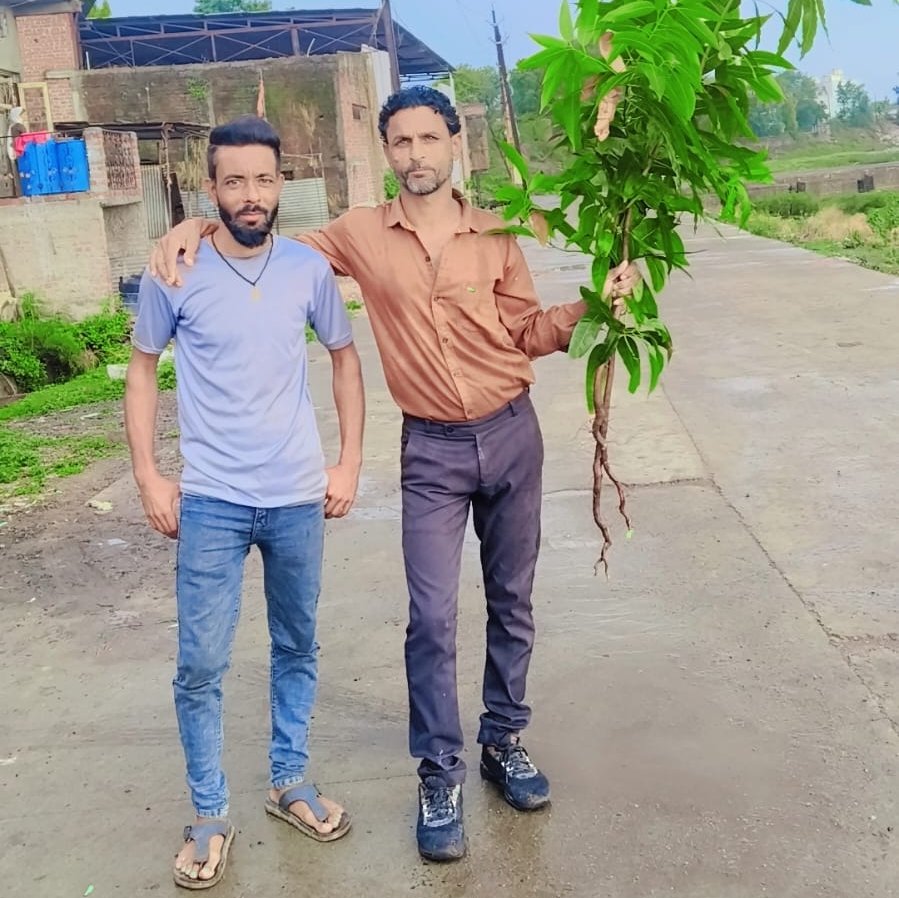 पर्यावरण संरक्षण का संदेश: पत्रकार इमरान खान ने लगाए 10 फलदार आम के पौधे | New India Times