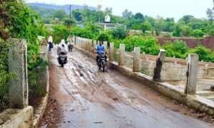 बारिश में पुलिया के गड्ढों में भरा कीचड़, ग्रामीणों का आवागमन हुआ दूभर