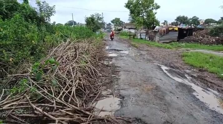 धारणी में कचरे का अंबार, सफाई व्यवस्था ठप, बीमारियों का बढ़ा ख़तरा 2 धारणी में कचरे का अंबार, सफाई व्यवस्था ठप, बीमारियों का बढ़ा ख़तरा | New India Times