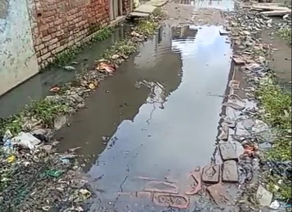 जलभराव व गंदगी से नरक बनी गोविंद नगर कॉलोनी, शिकायतों के बाद भी जिम्मेदार खामोश 2 जलभराव व गंदगी से नरक बनी गोविंद नगर कॉलोनी, शिकायतों के बाद भी जिम्मेदार खामोश | New India Times