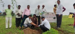 तिरला में नवांकुर सखी हरियाली कलश यात्रा का भव्य आयोजन, महिलाओं ने लिया पौधारोपण का संकल्प