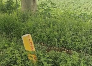थांदला-टीमरवानी फोरलेन के लिए जमीन अधिग्रहण पर किसानों का विरोध, चार गुना मुआवजे की मांग