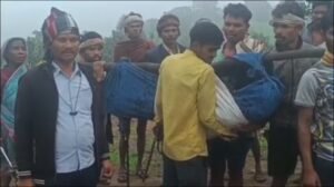 सड़क के अभाव में जिंदगी की जंग हारी मां की गोद, नवजात की मौत