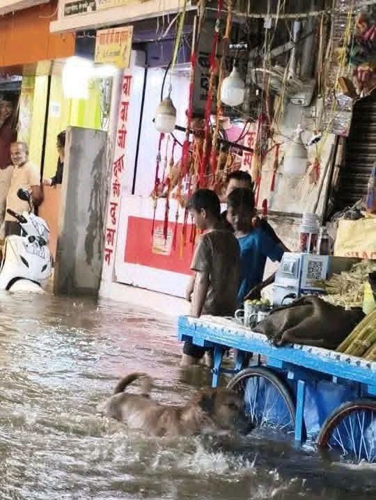 मूसलाधार बारिश से चुनार शहर जलमग्न, सड़कों पर घुटनों तक पानी; यातायात प्रभावित 1 मूसलाधार बारिश से चुनार शहर जलमग्न, सड़कों पर घुटनों तक पानी; यातायात प्रभावित | New India Times
