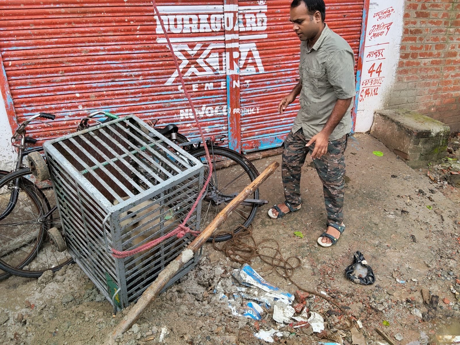घायल बंदर घर में घुसा, व्हाइट टाइगर सफारी की रेस्क्यू टीम ने सुरक्षित पकड़ा | New India Times