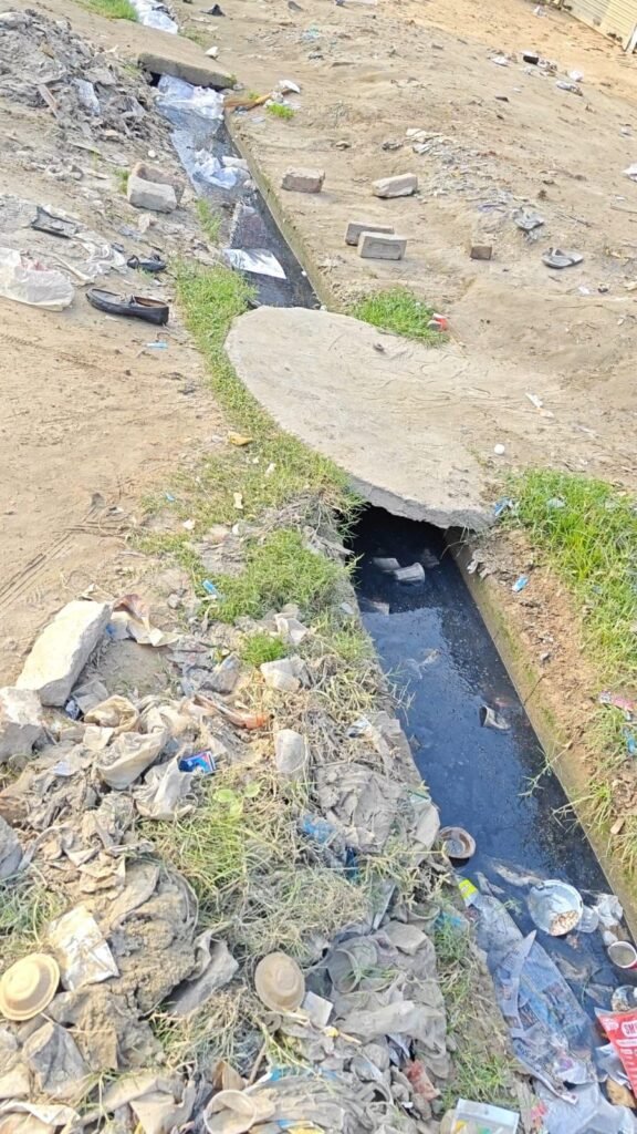 अलीगंज मुख्य चौराहे पर खुली नालियों में भरे गन्दे पानी से संक्रामक रोगों का ख़तरा 2 अलीगंज मुख्य चौराहे पर खुली नालियों में भरे गन्दे पानी से संक्रामक रोगों का ख़तरा | New India Times