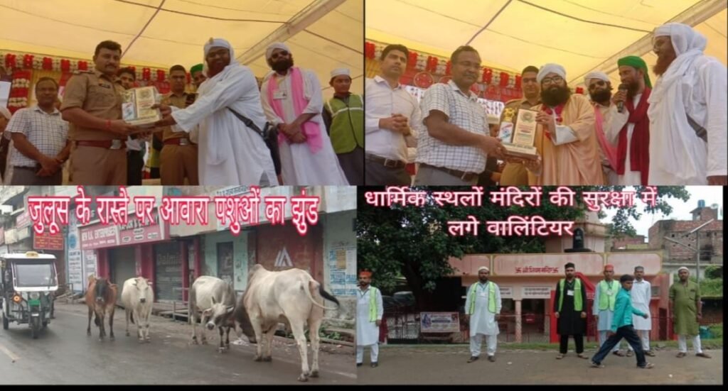 सरकार की आमद मरहबा के नारों से गूंजा शहर, जुलूस-ए-ईद मिलादुन्नबी में उमड़ा जनसैलाब | New India Times