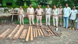 सुभाष वार्ड में अवैध सागौन चिरान का भंडाफोड़, 9 नग लकड़ी व औजार जब्त