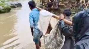 तीन उफनती नदियां और दुर्गम पगडंडियां पार कर छह घंटे में दमुआ पहुंची बीमार नवविवाहिता