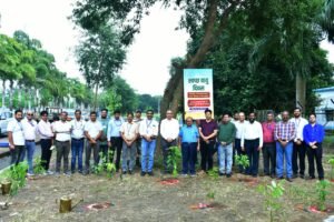 अंतर्राष्ट्रीय स्वच्छ वायु दिवस पर एनटीपीसी कहलगांव में पौधारोपण, 50 पौधे लगाए गए