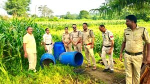 नौलखा में पुलिस की बड़ी कार्रवाई, 5 हजार किलो अवैध महुआ लाहन नष्ट