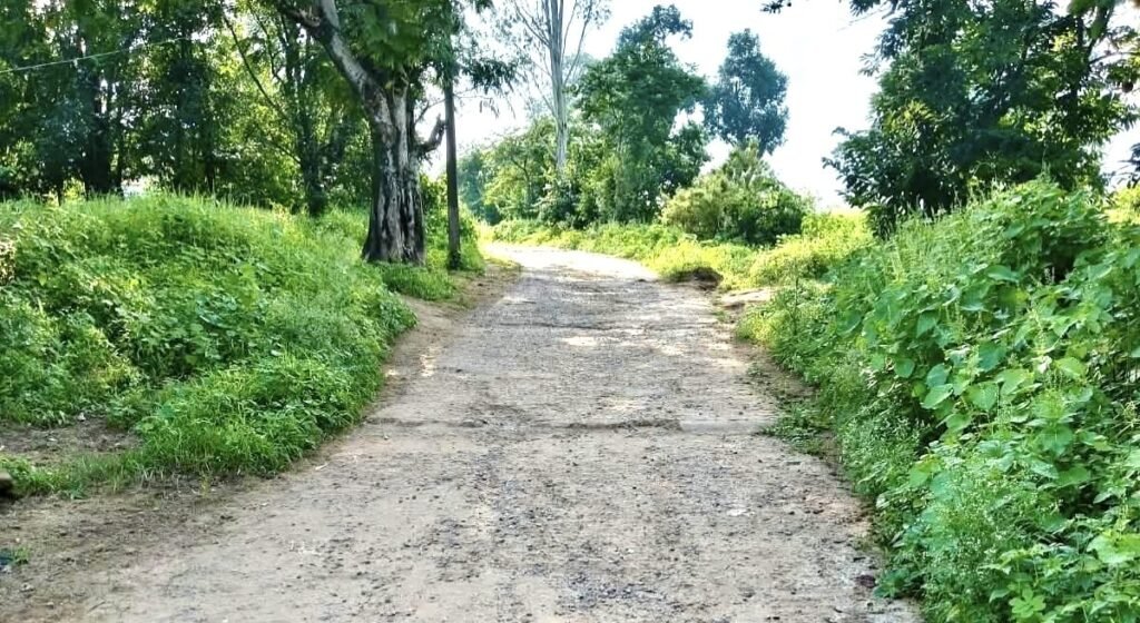 दातला में विकास के दावे हवा-हवाई, बदहाल सड़क और जलभराव से ग्रामीण बेहाल | New India Times