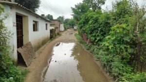दातला में विकास के दावे हवा-हवाई, बदहाल सड़क और जलभराव से ग्रामीण बेहाल