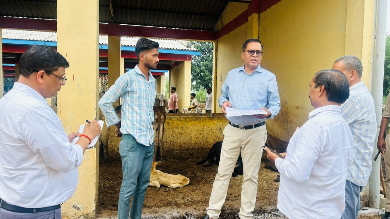 गौशाला में अव्यवस्थाओं पर डीएम नाराज, ग्राम सचिव को निलंबित करने के निर्देश | New India Times