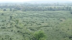 अतिवृष्टि से फसलों को भारी नुकसान, हर्ष यादव ने कलेक्टर से की तत्काल सर्वे और मुआवजे की मांग