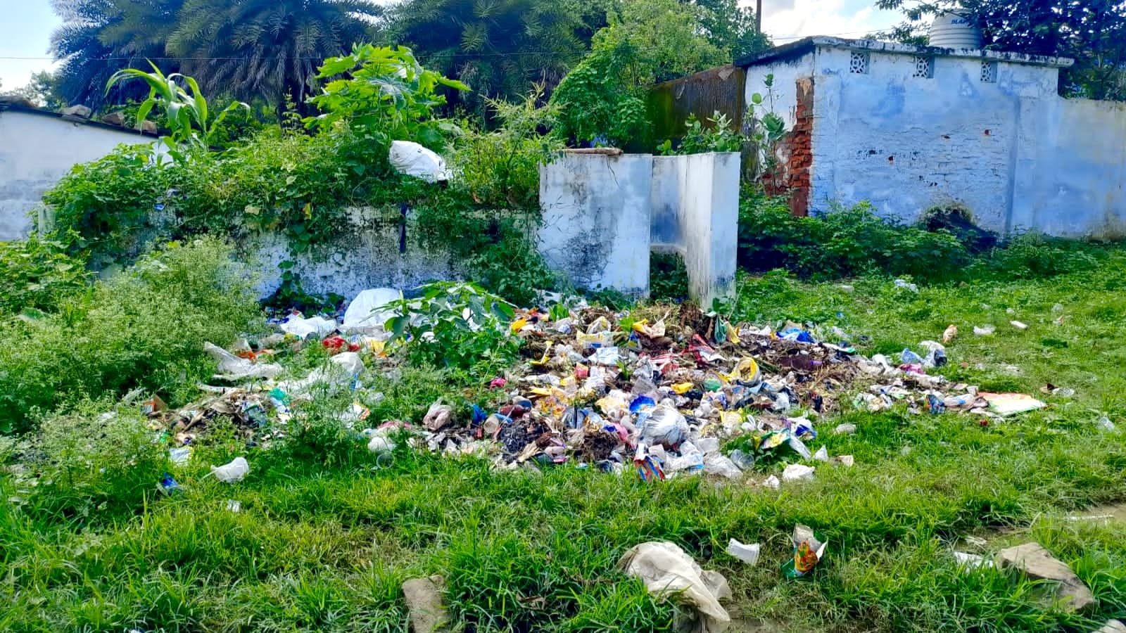पनारा में गंदगी का अंबार, स्कूल और घरों के पास कूड़ेदान बना बीमारी का कारण 1 पनारा में गंदगी का अंबार, स्कूल और घरों के पास कूड़ेदान बना बीमारी का कारण | New India Times