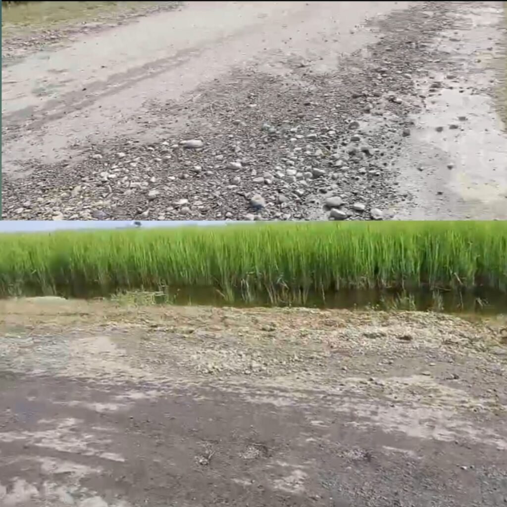 करोड़ों की लागत से बनी सड़क छह माह में उखड़ी, ग्रामीणों ने लगाया घटिया निर्माण का आरोप 2 करोड़ों की लागत से बनी सड़क छह माह में उखड़ी, ग्रामीणों ने लगाया घटिया निर्माण का आरोप | New India Times