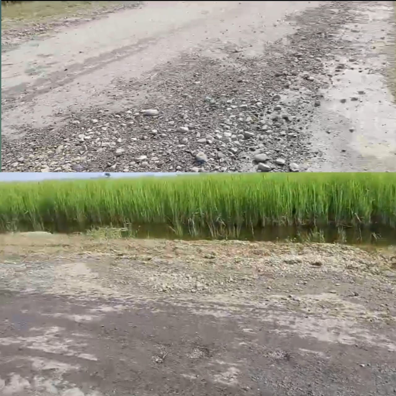 करोड़ों की लागत से बनी सड़क छह माह में उखड़ी, ग्रामीणों ने लगाया घटिया निर्माण का आरोप 1 करोड़ों की लागत से बनी सड़क छह माह में उखड़ी, ग्रामीणों ने लगाया घटिया निर्माण का आरोप | New India Times